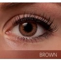 Freshlook Colorblends Brown