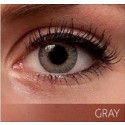 Freshlook Colorblends Grey