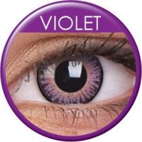 3 Tones Violet