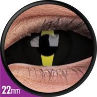 Blacklash 22mm 